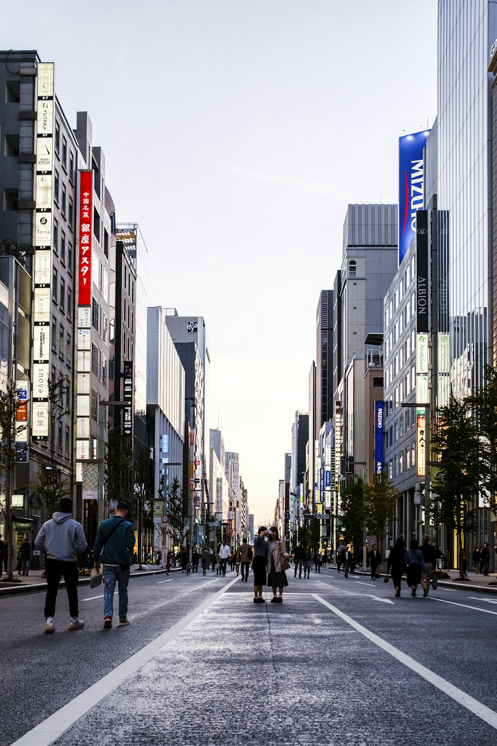 people walking on pedestrian lane during daytime