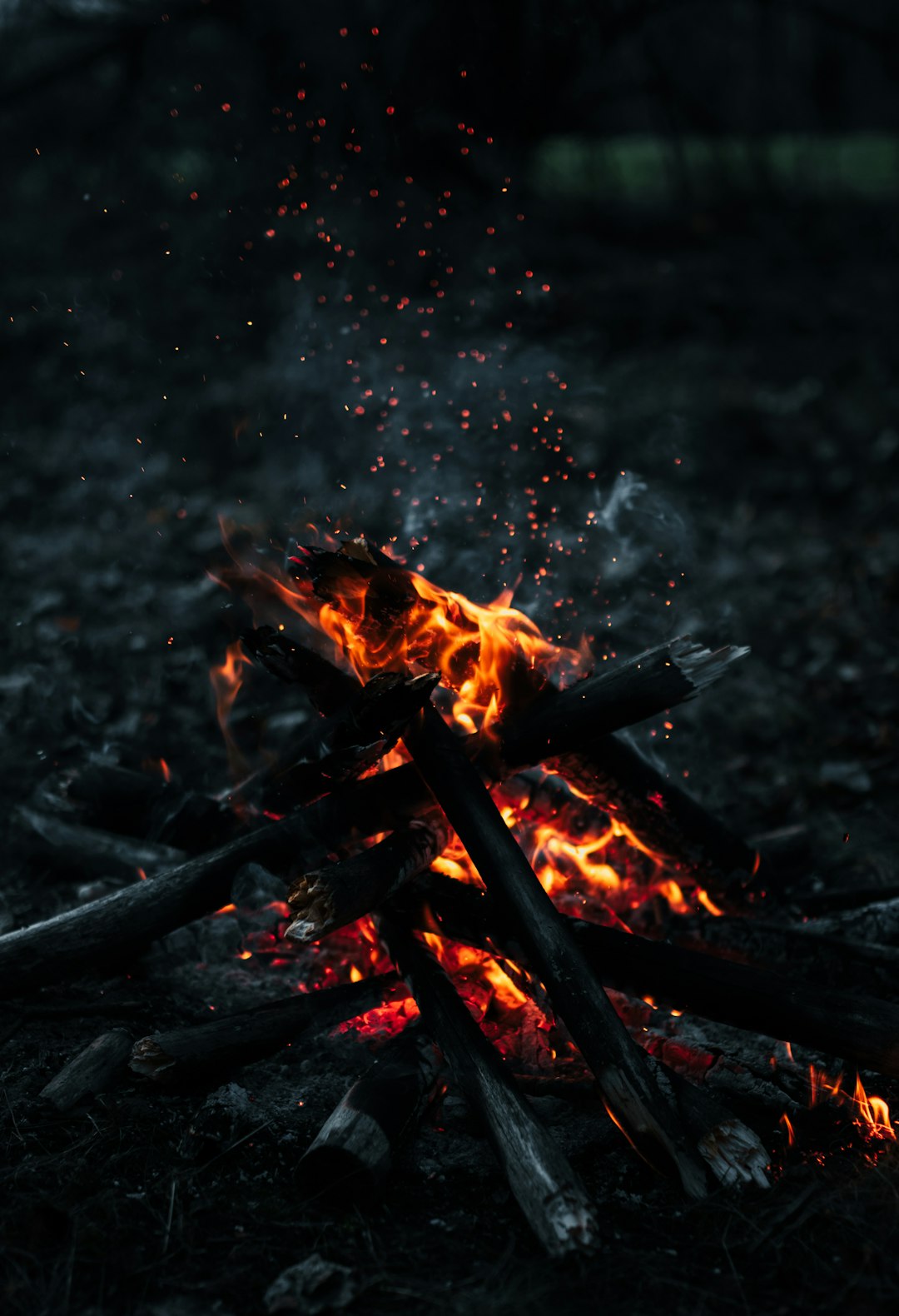 burning wood on fire pit