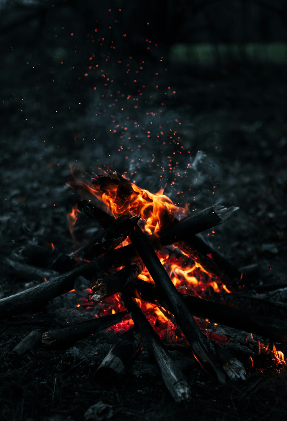 burning wood on fire pit