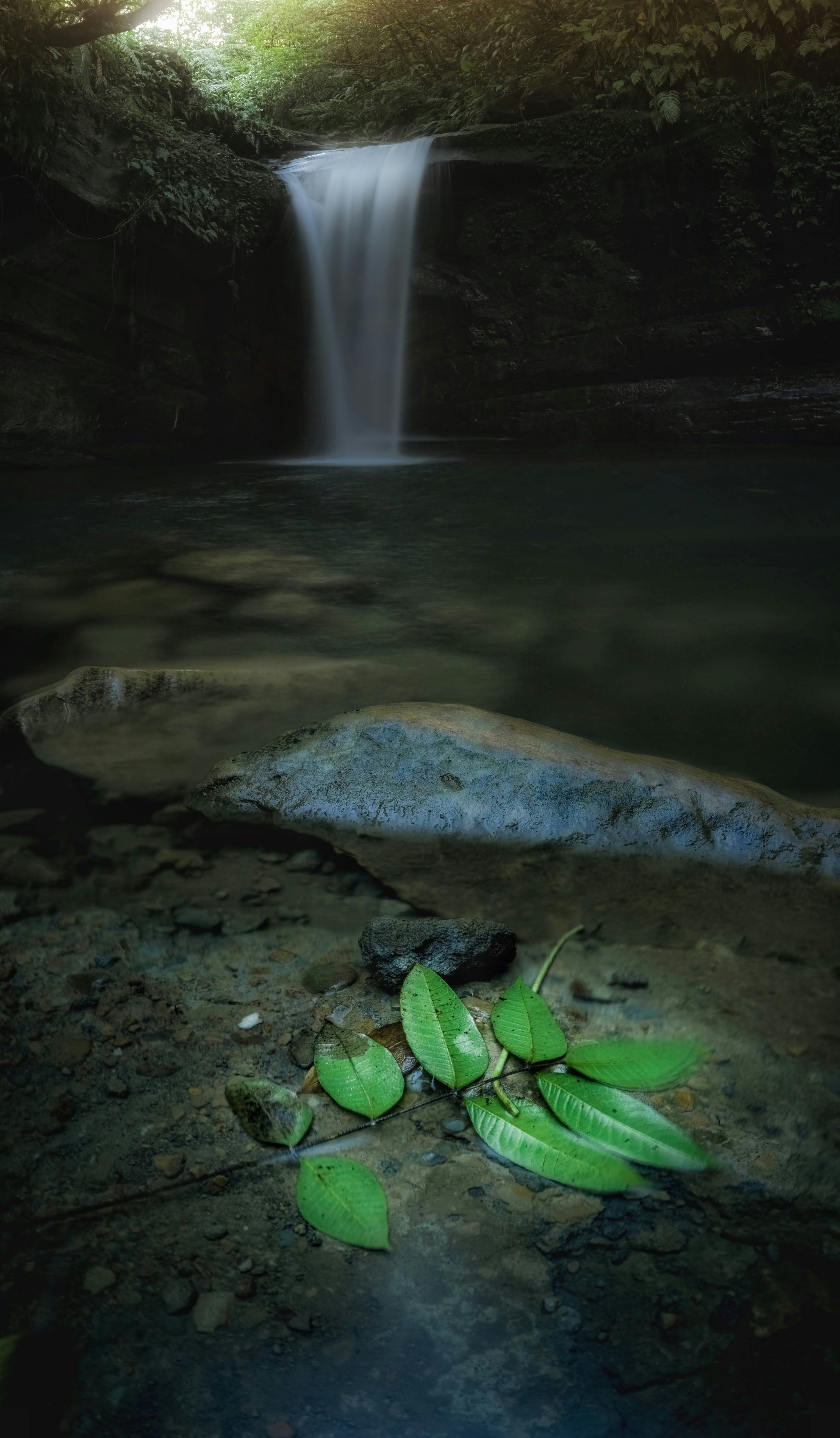 A serene waterfall spills into a dark pool, framed by mossy rock walls. Bright green leaves rest on the foreground ground, illuminated by soft forest light.