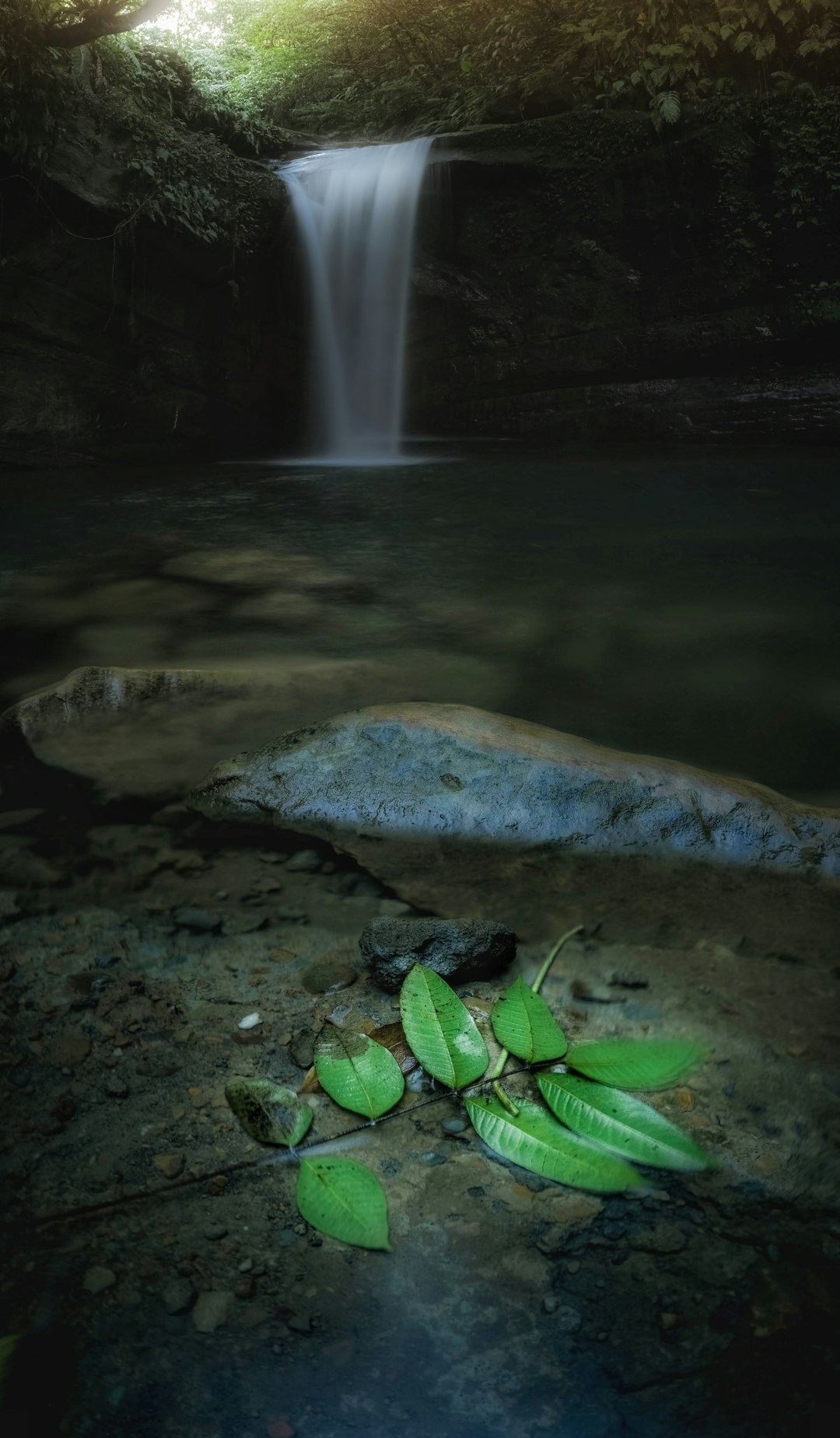 green plant on brown rock near waterfalls
