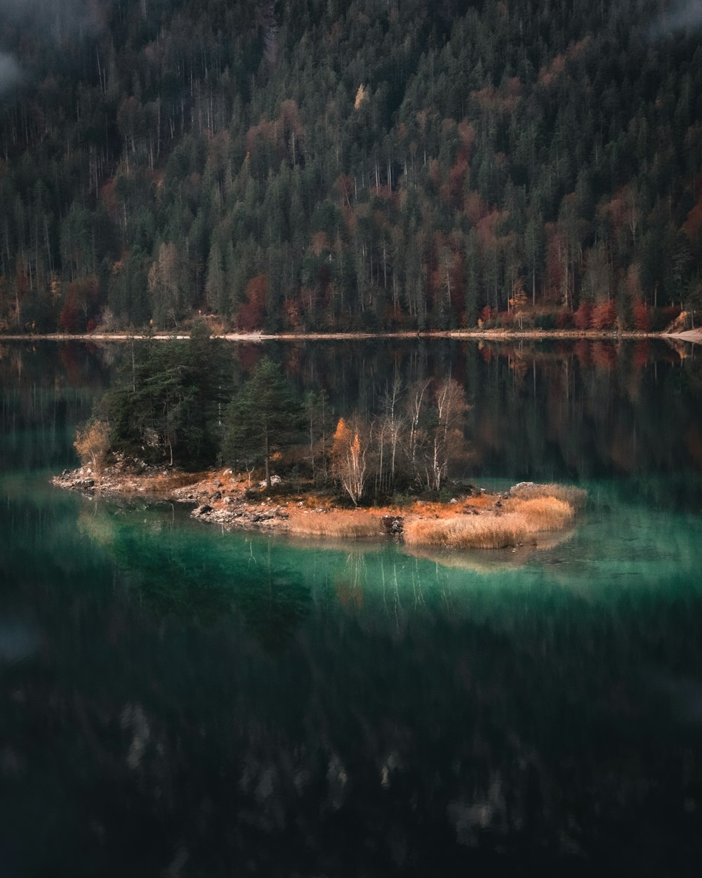 green lake near green trees and mountain during daytime