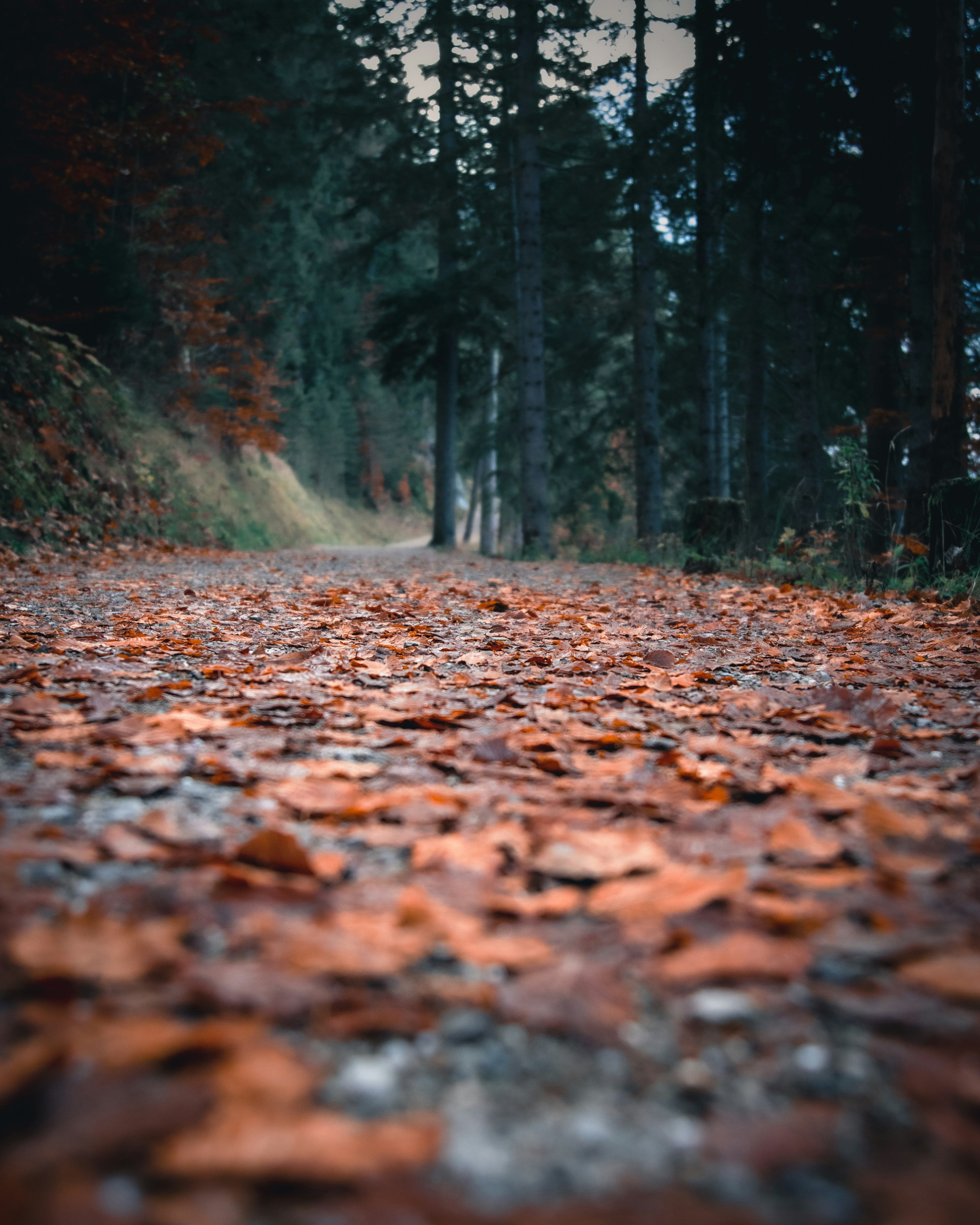 Photo by donnieraycrisp