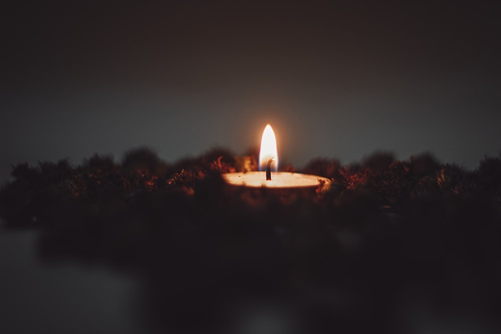 lighted candles on brown soil