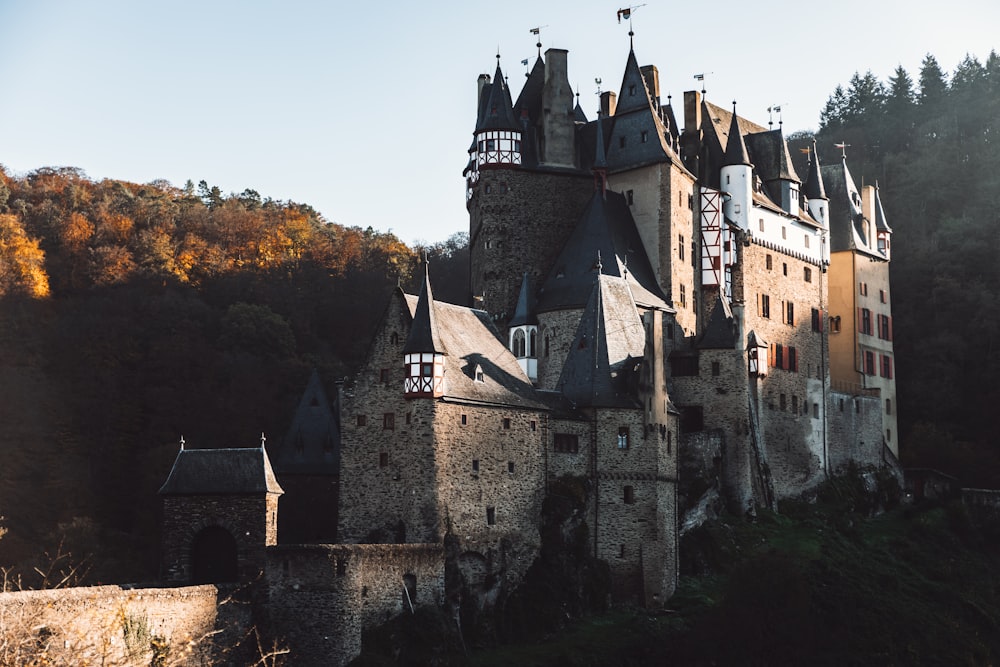 grey concrete castle under blue sky during daytime