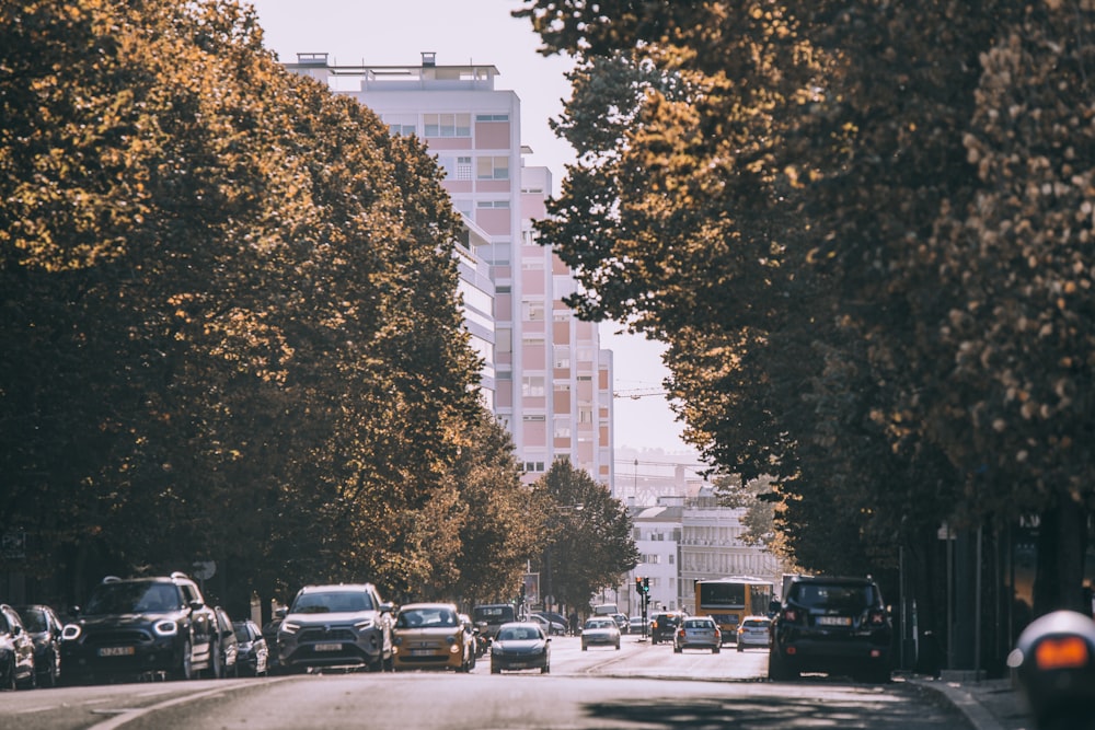 cars parked on side of the road near high rise buildings during daytime