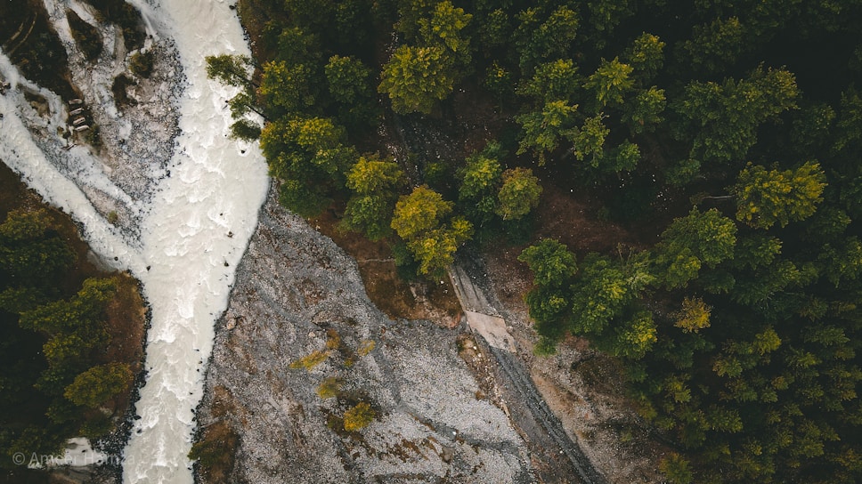 An aerial view of a river cutting through a dense forest with trees on either side. The river appears to be flowing over rocky terrain, creating a contrast with the vibrant green and yellow hues of the foliage. The landscape is marked by a mix of natural elements, including the textured surface of the rocky riverbanks.