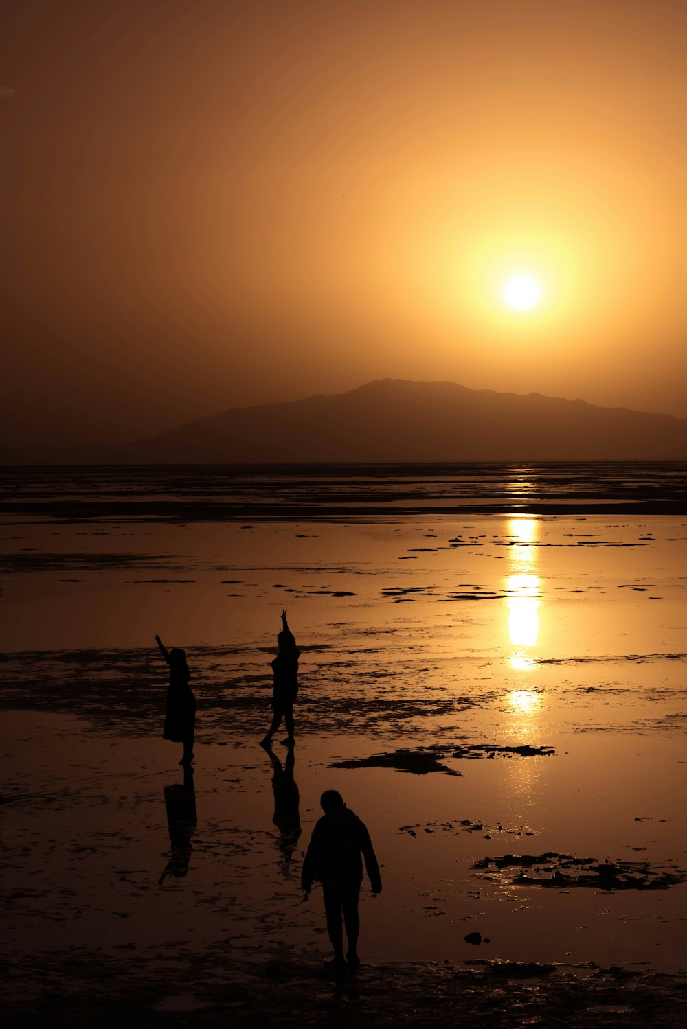 silhouette of 2 people standing on beach during sunset