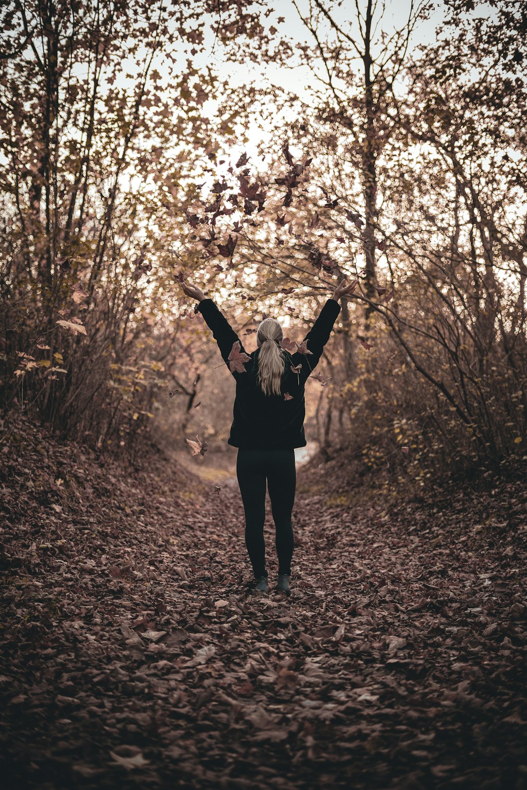 woman in black jacket standing on brown leaves covered ground