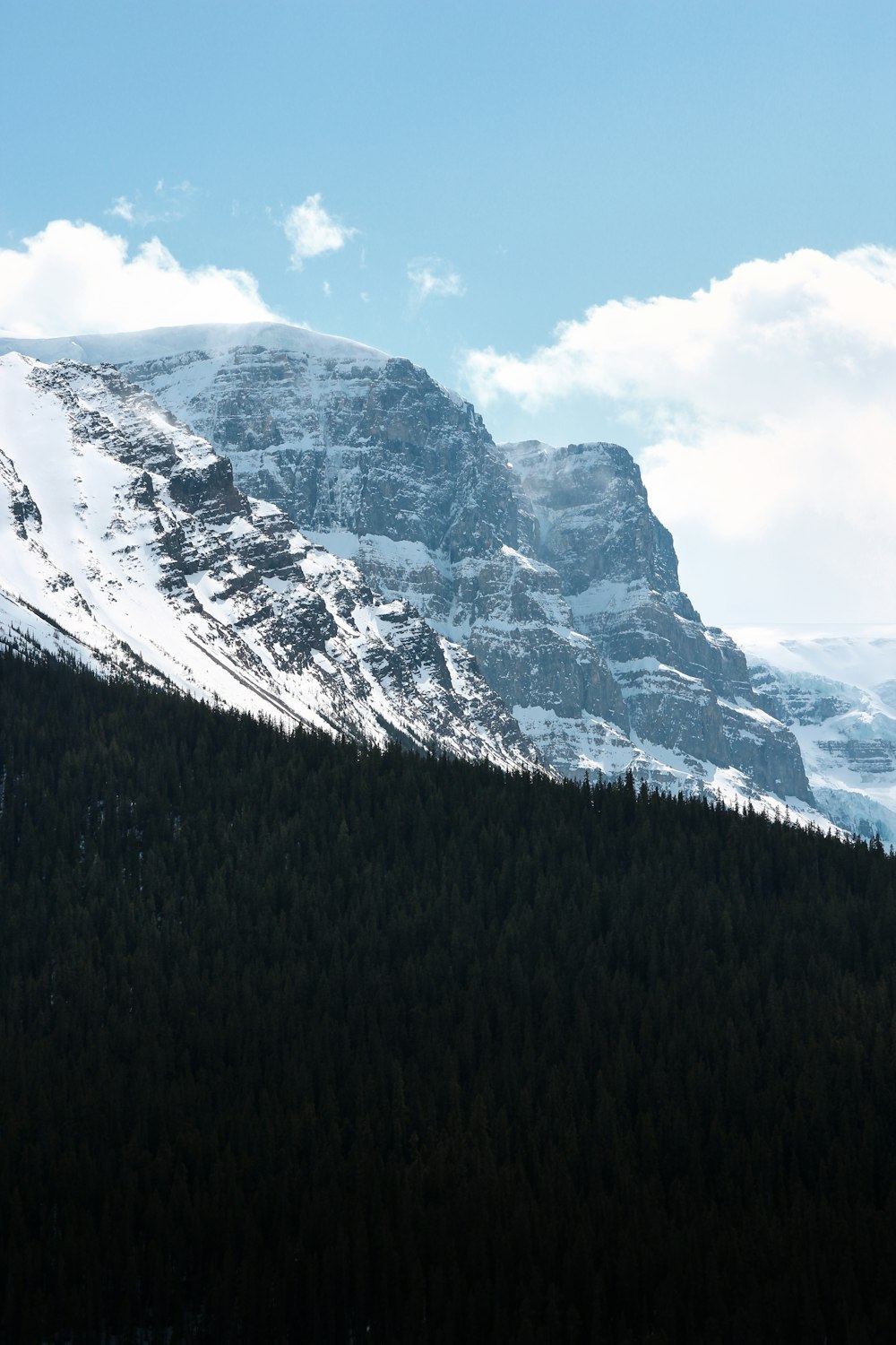 green trees on mountain under white clouds and blue sky during daytime