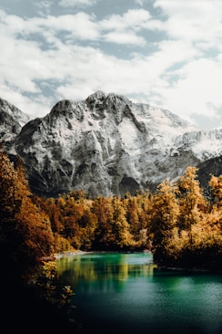 green and yellow trees near mountain under white clouds during daytime