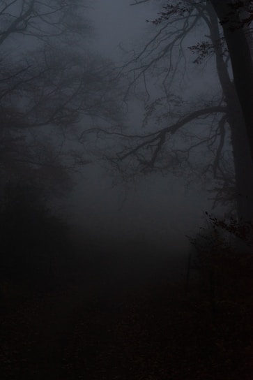 A dark, eerie forest scene with a shadowy figure lurking between the trees.