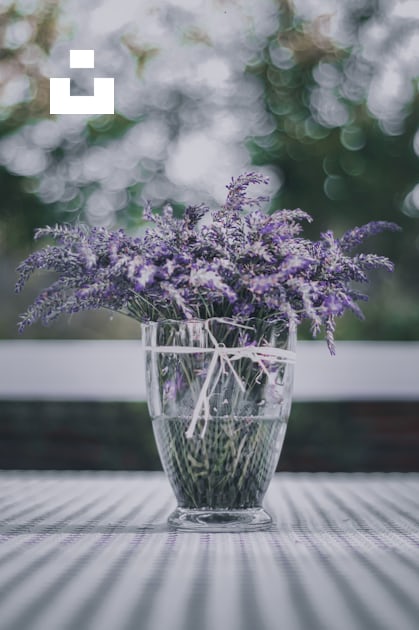 A glass vase filled with purple and white makeup brushes photo – Free Grey  Image on Unsplash