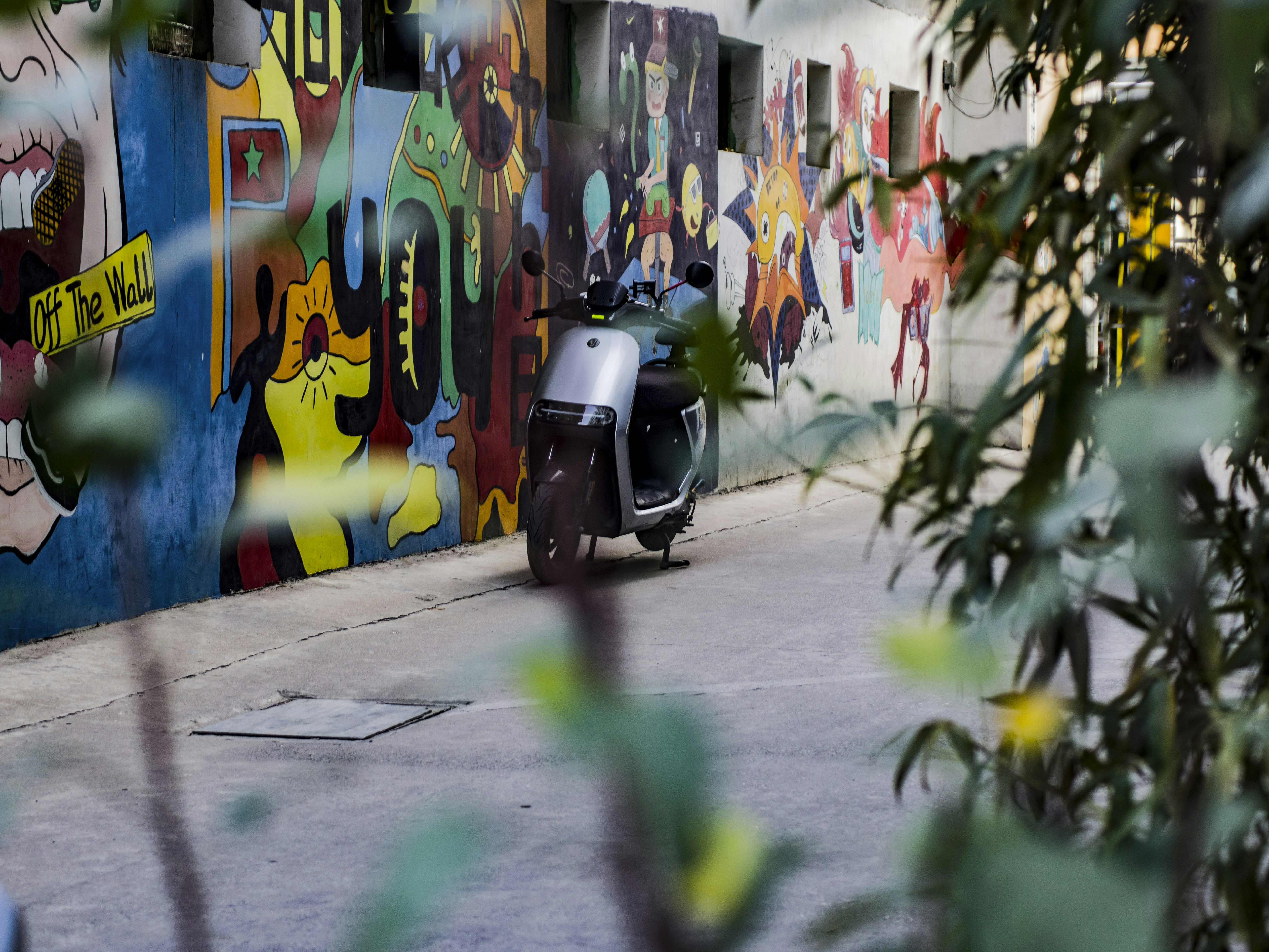 Photo by safari_cheung