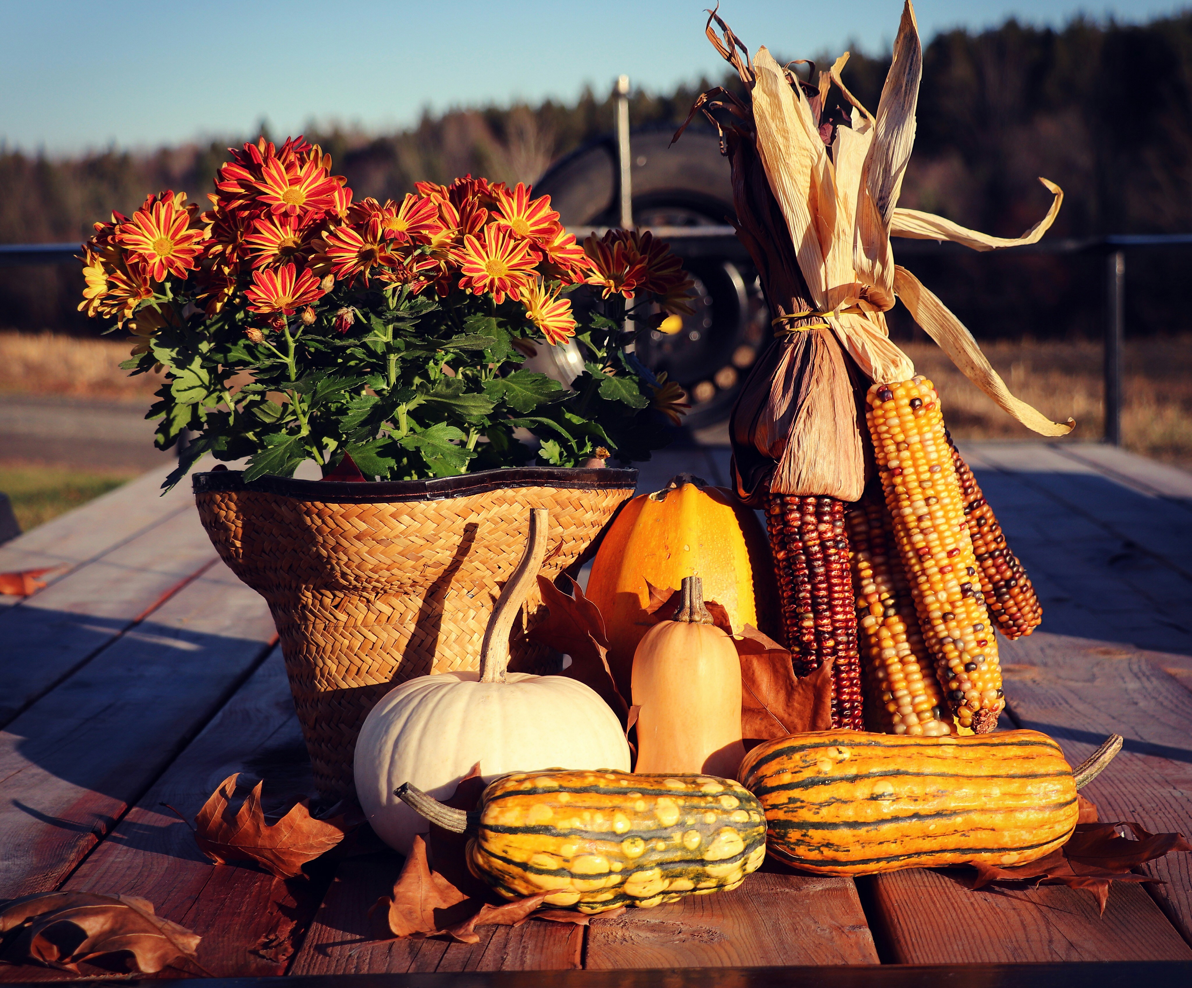 Healthy Seasonal Fall Recipes for Easy Home Cooking