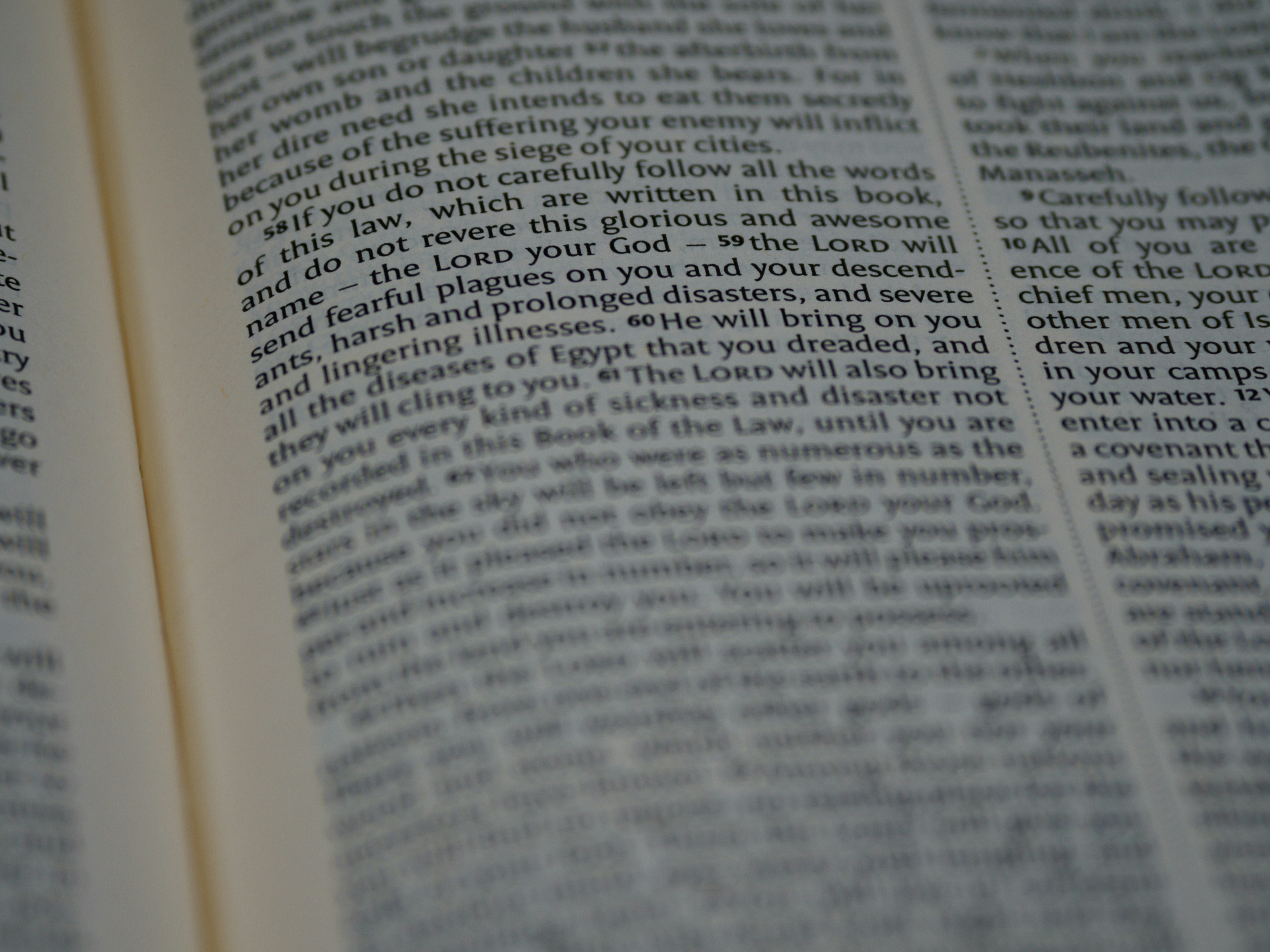 Photo by brett_jordan