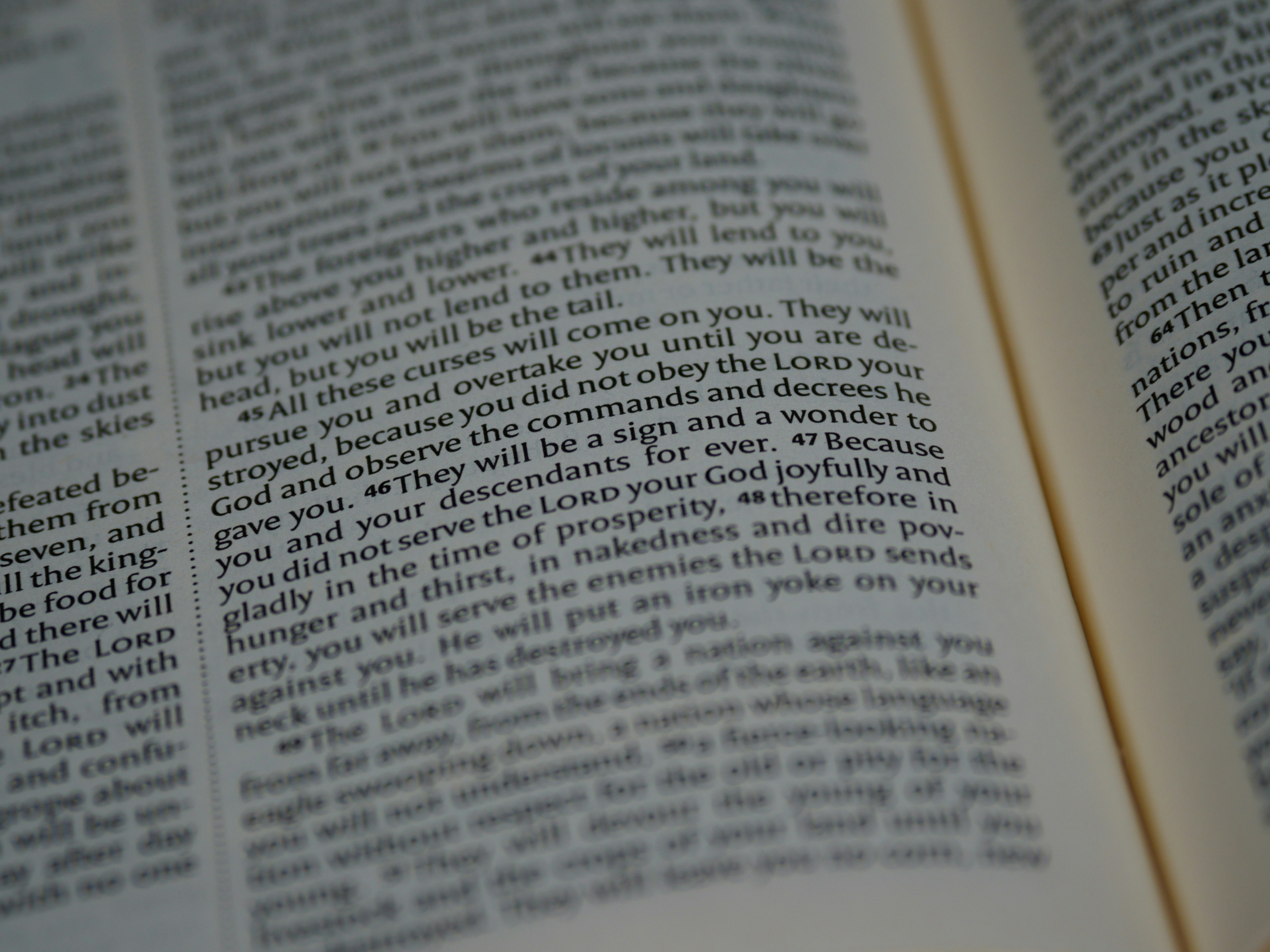 Photo by brett_jordan