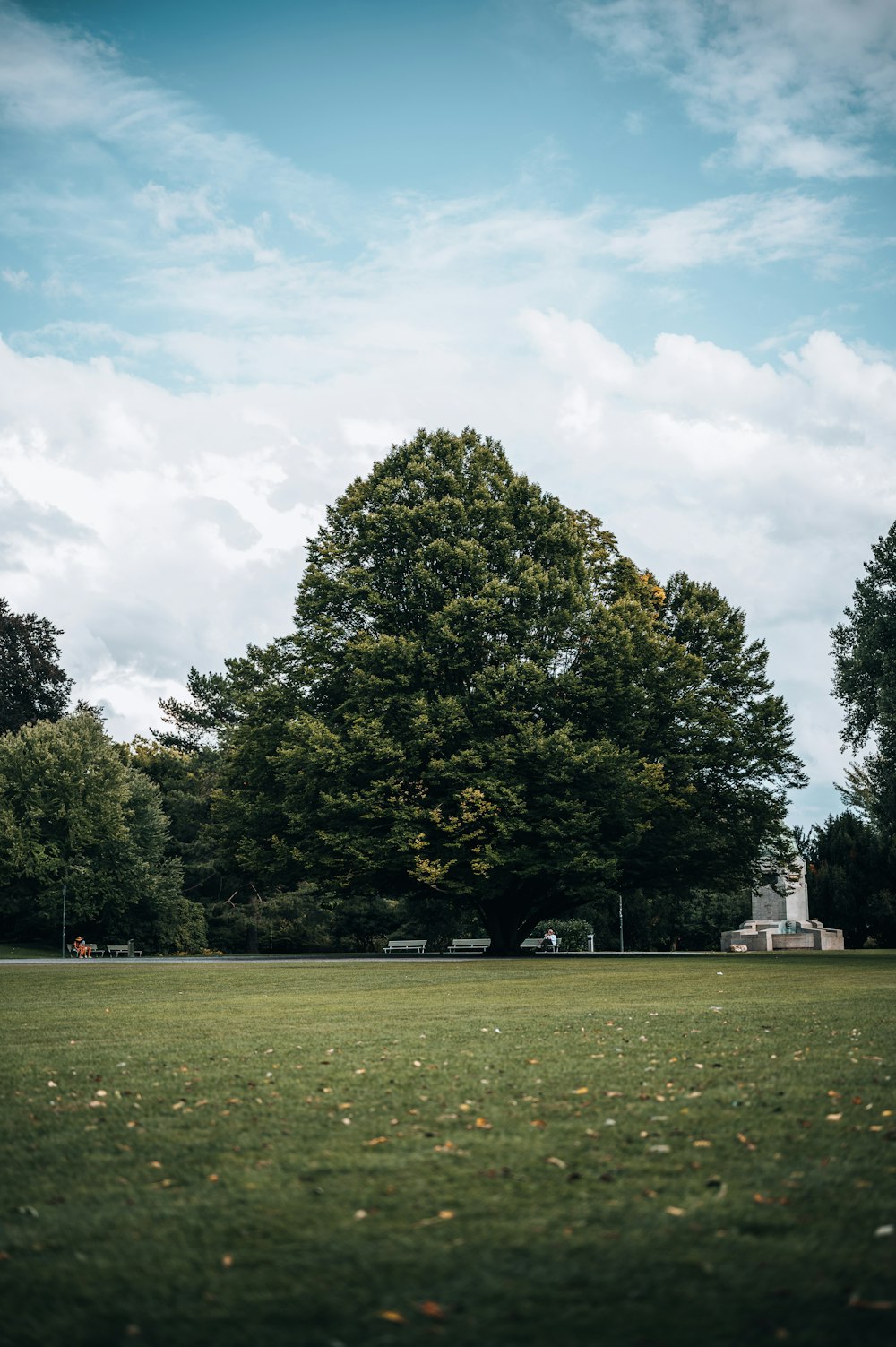 green grass field with trees under white clouds and blue sky during daytime