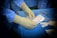 Hands wearing surgical gloves preparing medical instruments on a blue draped table. Various sterilized tools and supplies, such as gauze and packaging, are neatly arranged nearby.