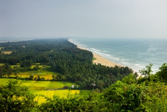 green trees near body of water during daytime