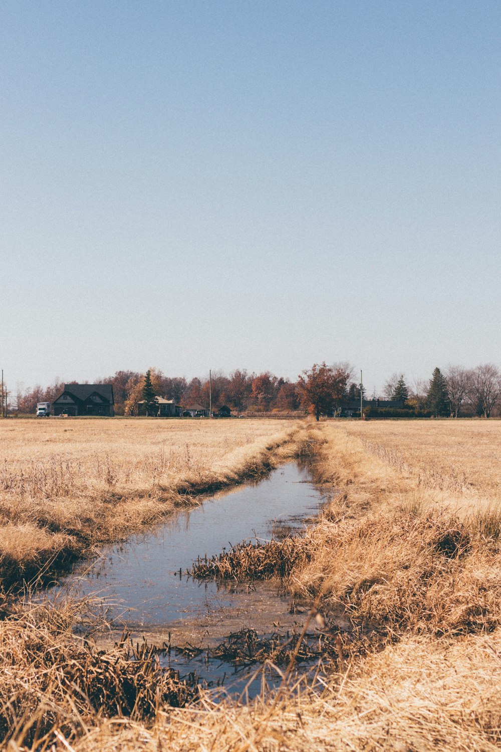 campo di erba marrone vicino al fiume sotto il cielo blu durante il giorno