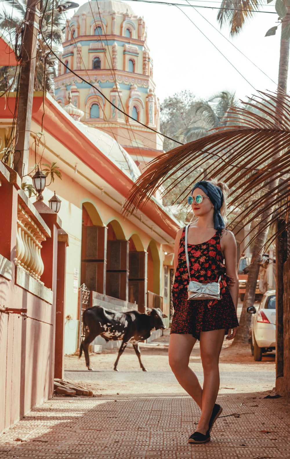 woman in white and black floral dress standing beside black horse during daytime