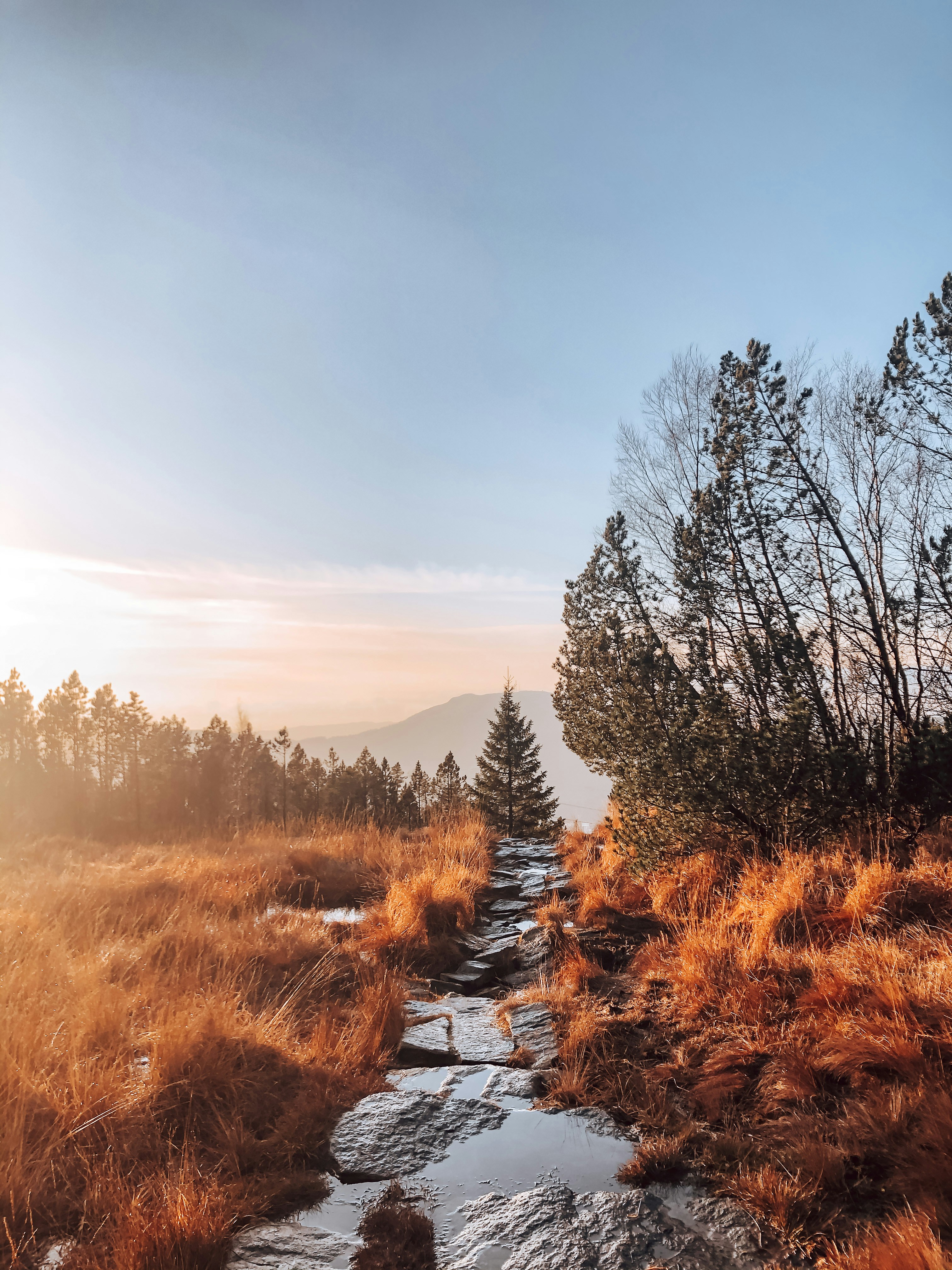 Chardham Yatra + Tungnath