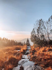A candid photo of a winding mountain trail bathed in golden sunlight.
