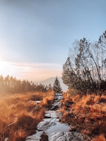 A scenic mountain trail bathed in golden sunlight, inviting for a mindful hike.