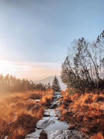 A scenic mountain trail bathed in golden sunlight inviting wanderers to explore.