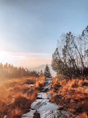 A serene mountain path winding through lush forests in West China under a soft golden sunset.