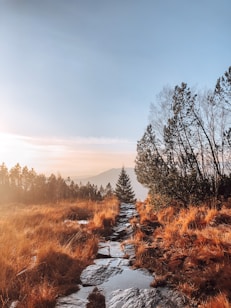 A serene mountainous landscape with a narrow stone path winding through golden grass and leading towards a horizon framed by distant hills. The scene is bathed in golden sunlight, casting a tranquil atmosphere.