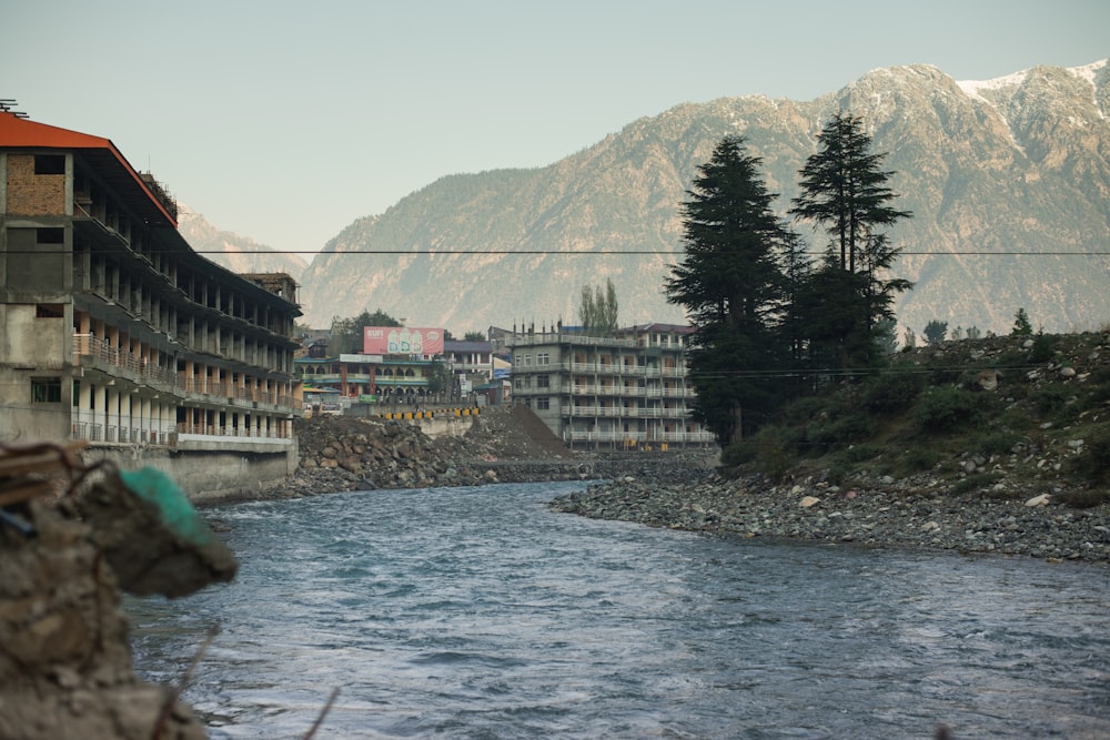 body of water near green trees and buildings during daytime