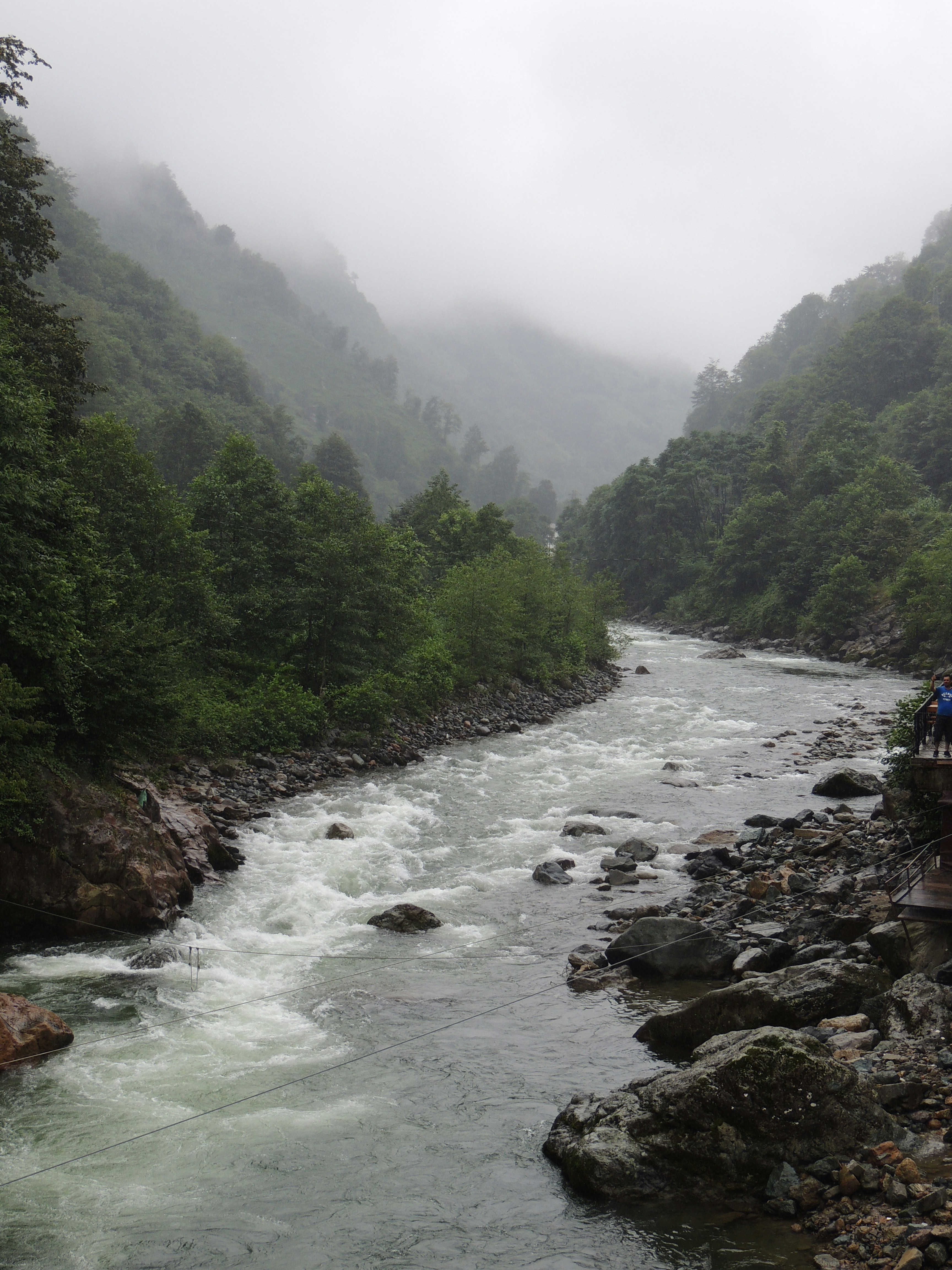 river in between green trees during daytime