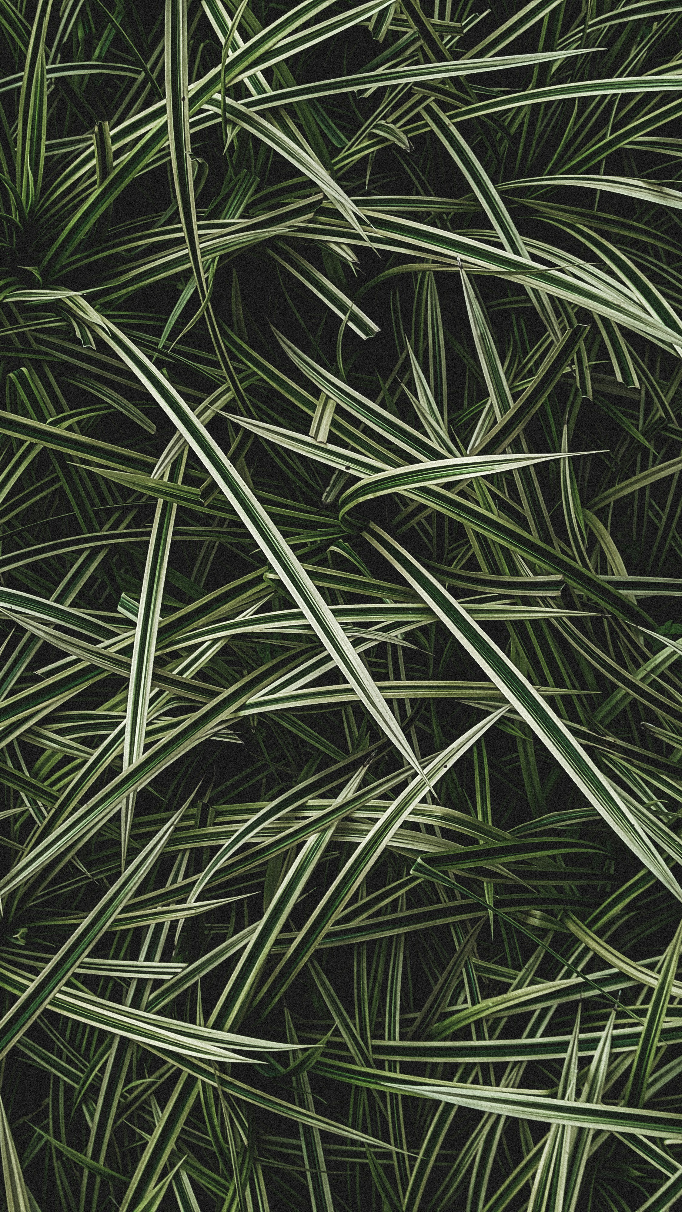 Photo by _heartsandcolors____