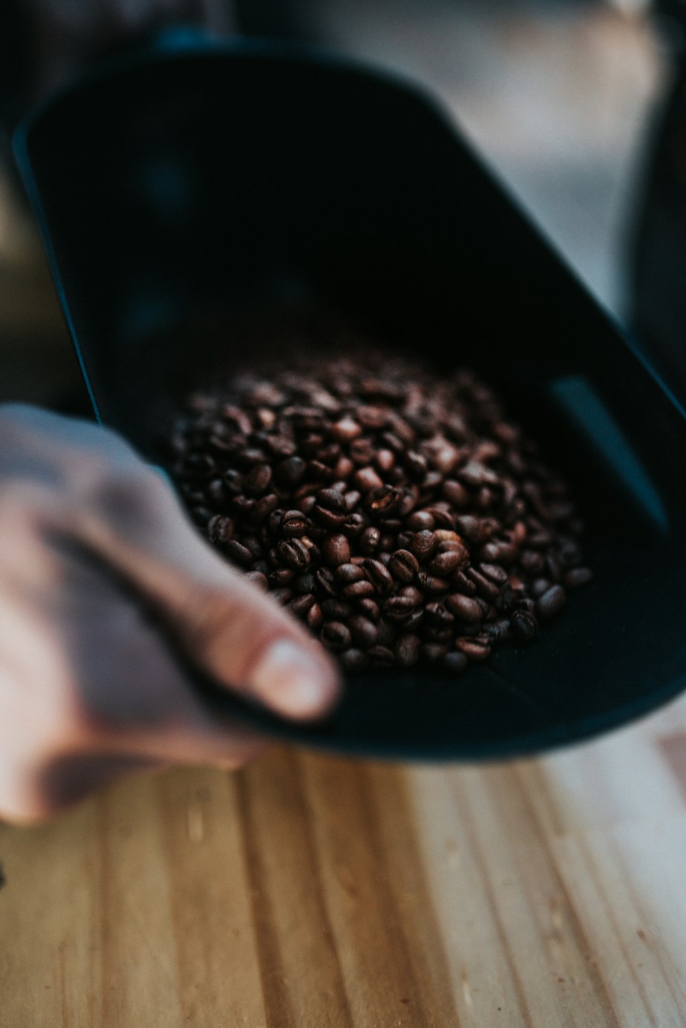 person holding black ceramic bowl with brown coffee beans