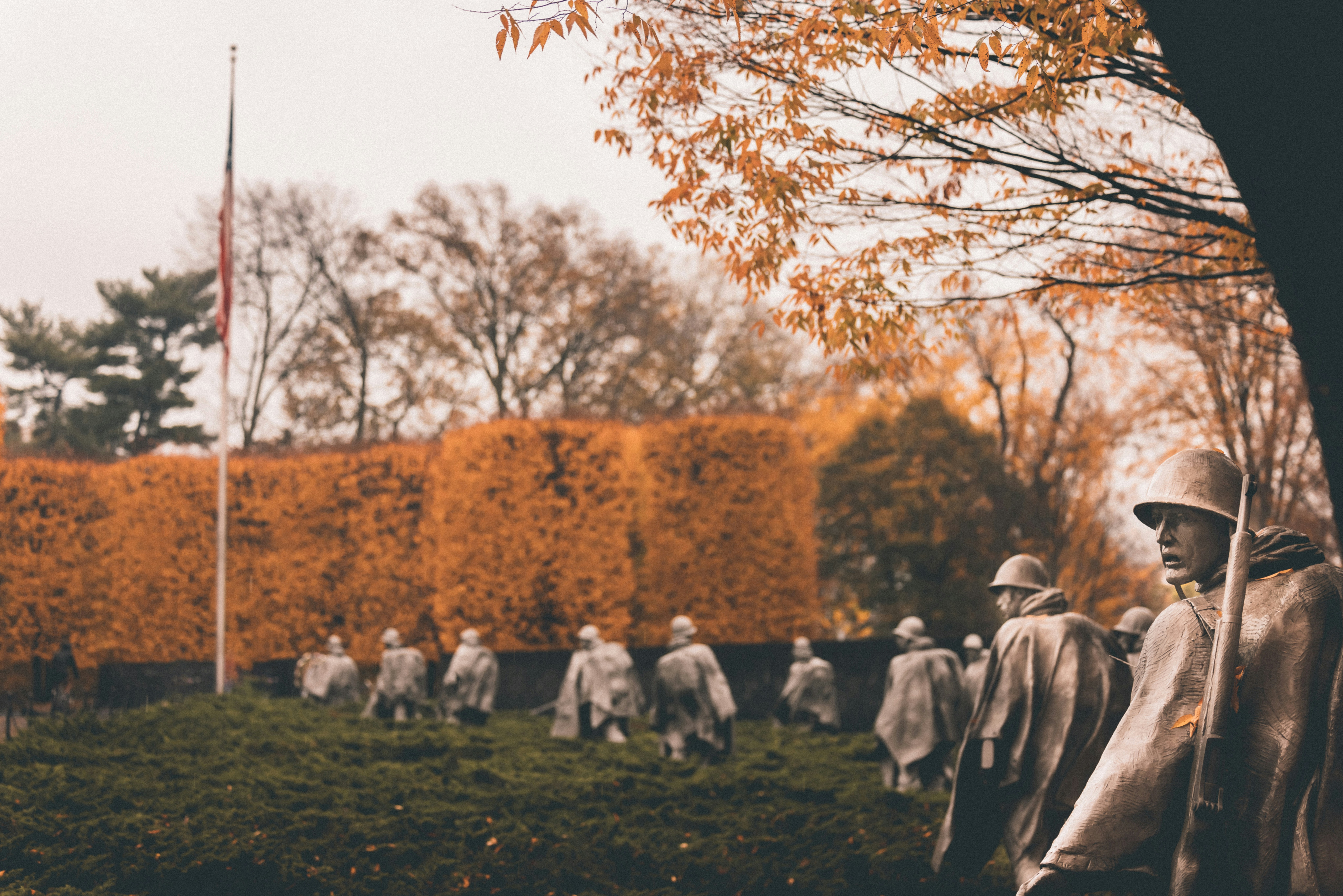 People sitting on green grass field near brown trees during daytime
