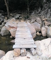 A rustic wooden bridge crossing a gentle stream deep in the woods, untouched and inviting.