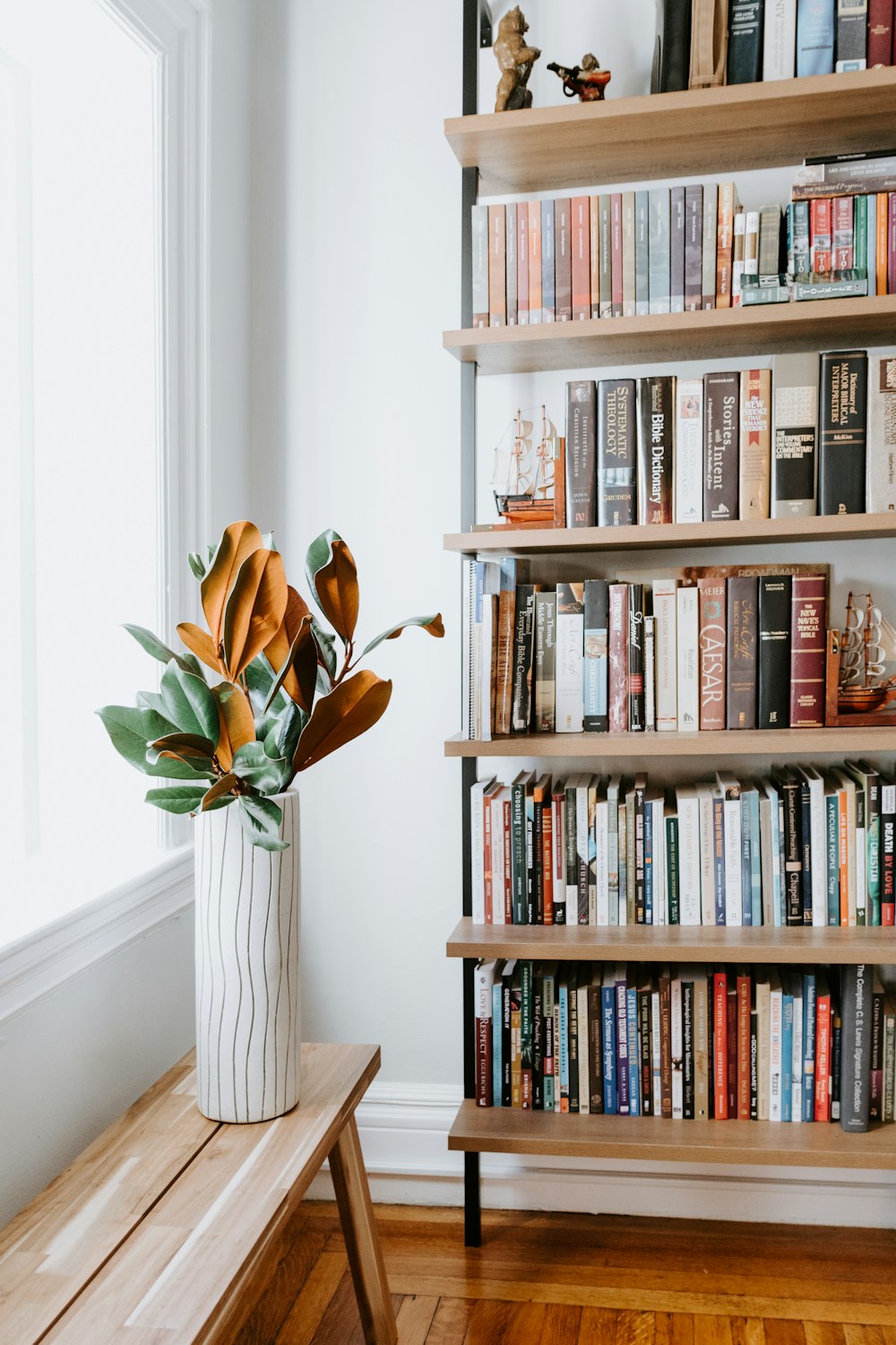 books on white wooden shelf