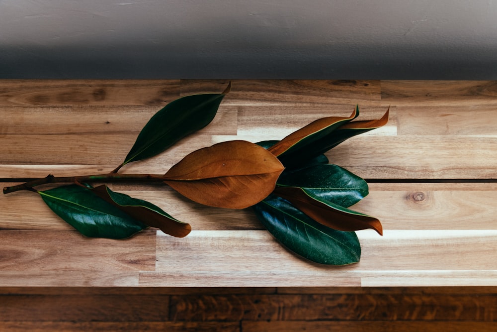 green leaves on brown wooden table