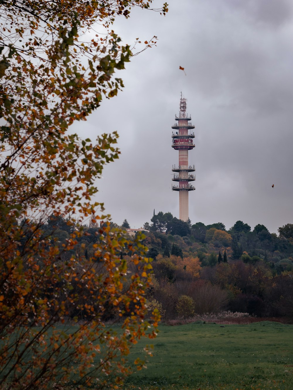 white and black tower surrounded by trees under cloudy sky during daytime