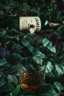 Aesthetic image of amber bottles surrounded by green leaves.
