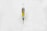 A syringe filled with a golden liquid, labeled 'The Clear Golden Goat', is centered on a white background. The syringe features measurement markings and a green tip.