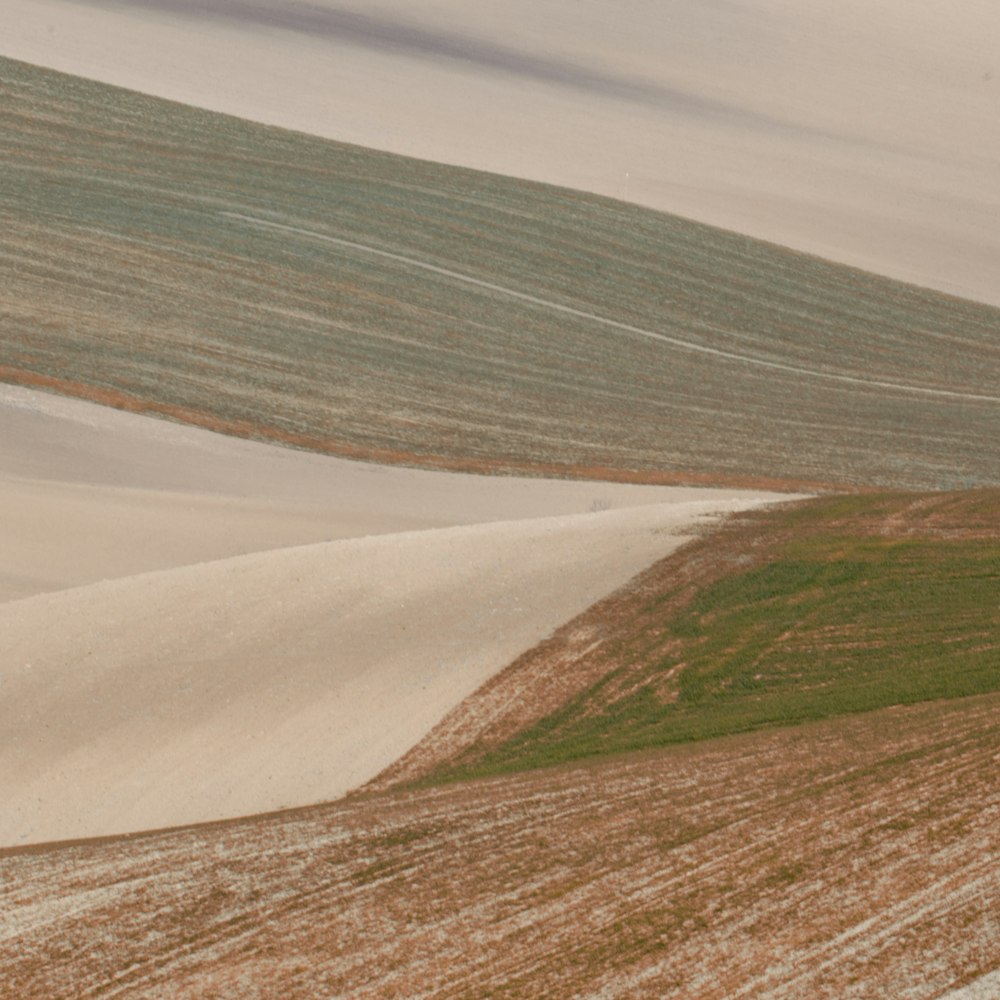 brown and green field under white sky during daytime