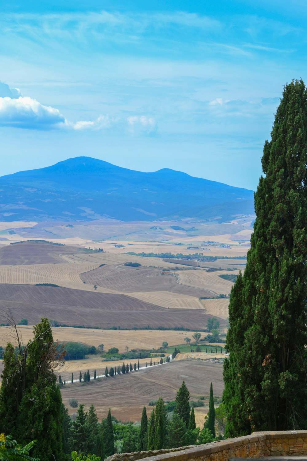 green trees on mountain during daytime