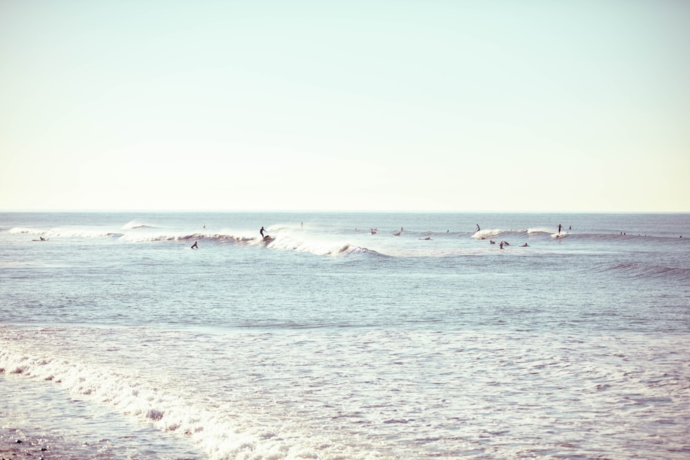 people surfing on sea during daytime