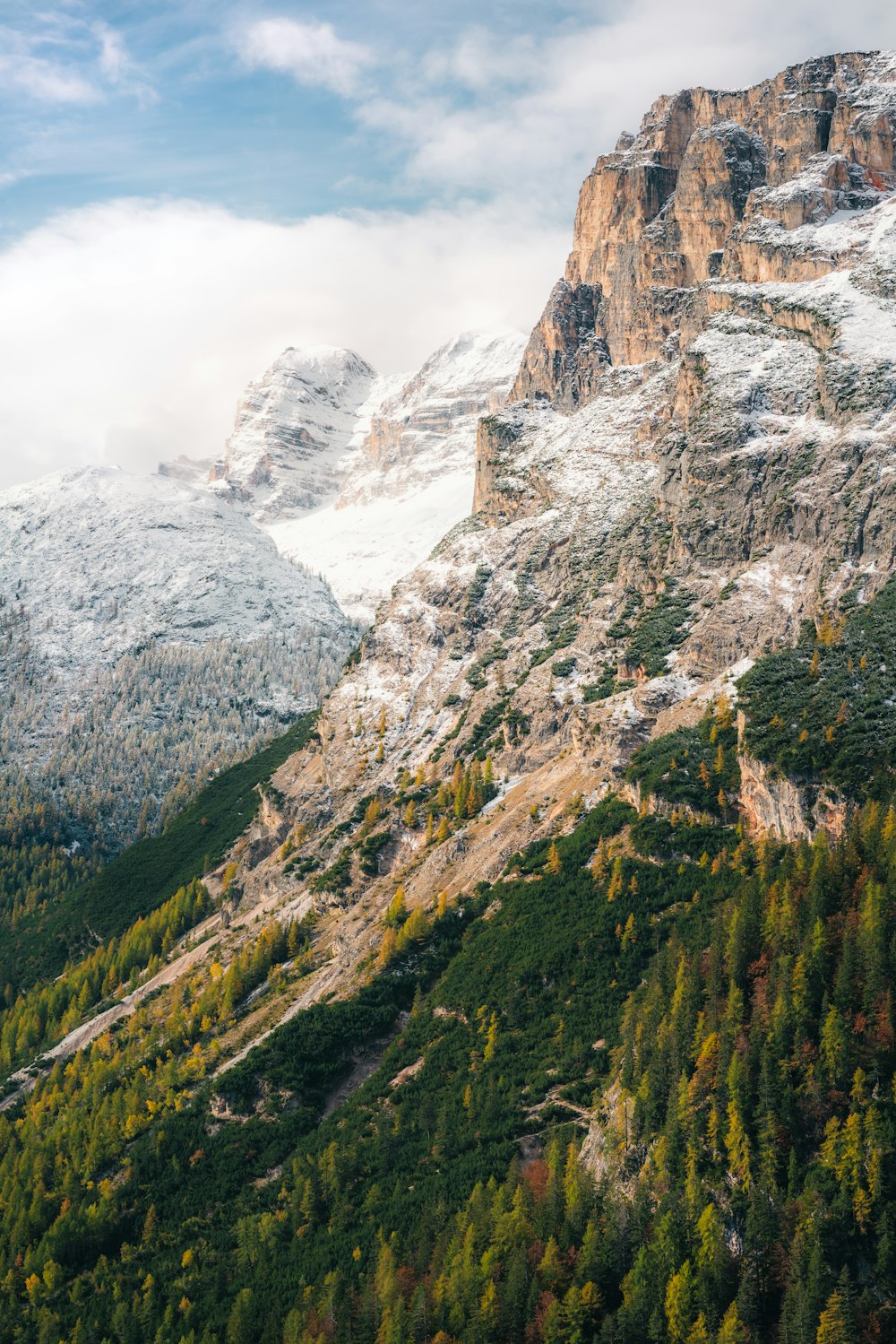 green trees on rocky mountain during daytime