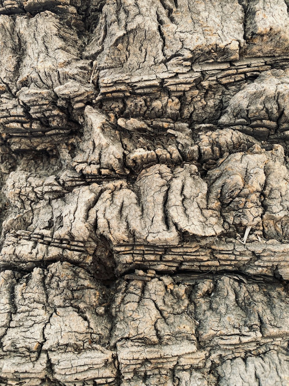 brown and black rock formation