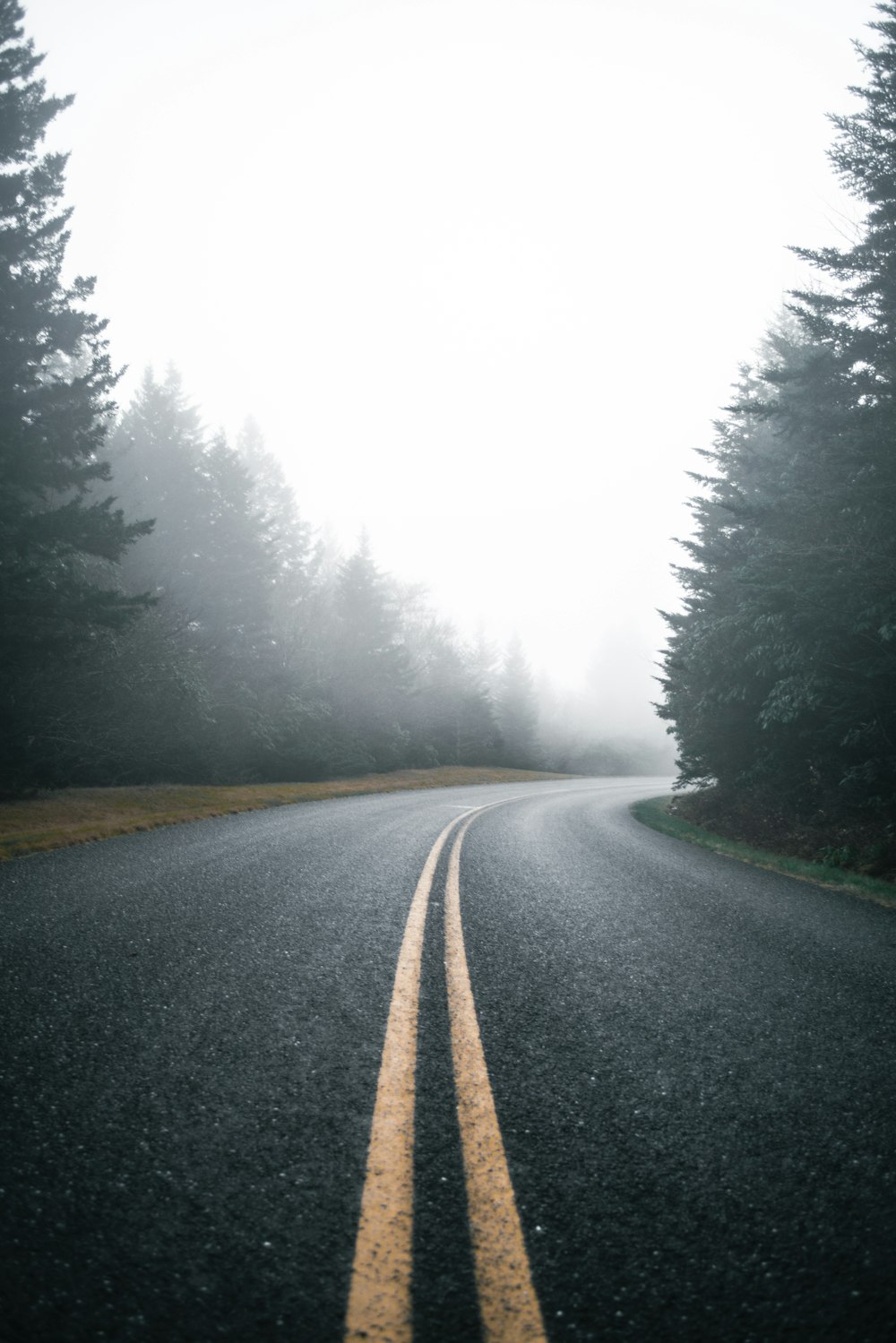 gray concrete road between green trees during daytime