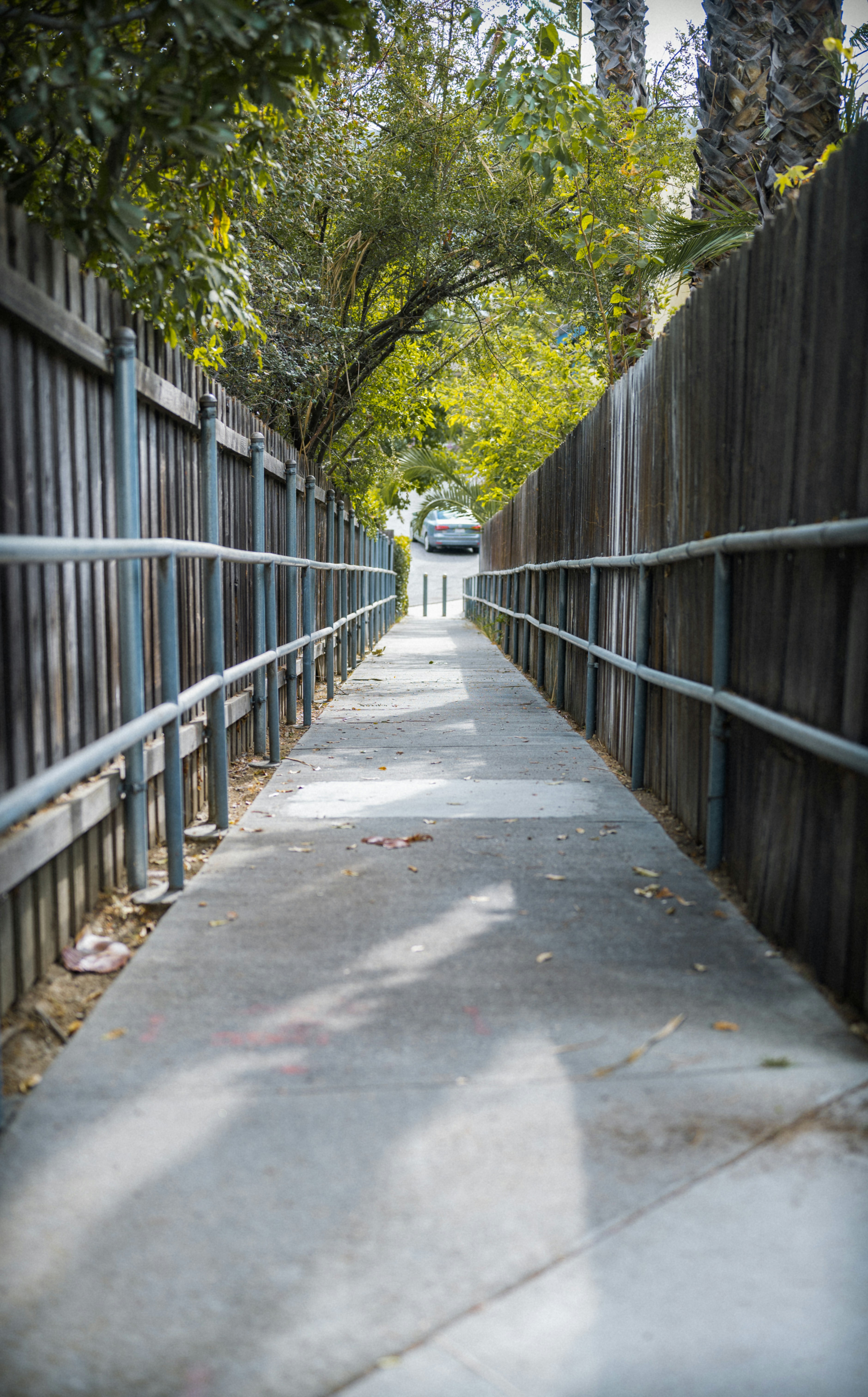 gray wooden bridge in between green trees during daytime